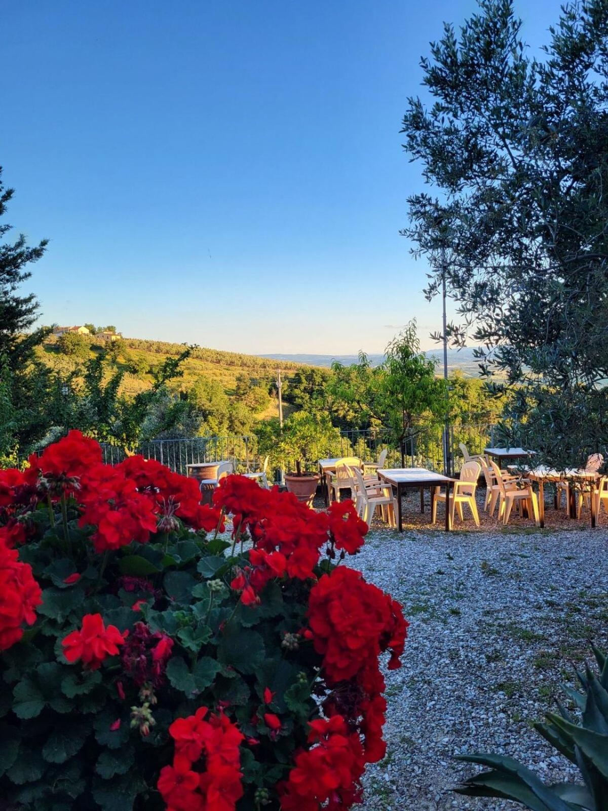 Agriturismo La Gioconda Винчи Экстерьер фото