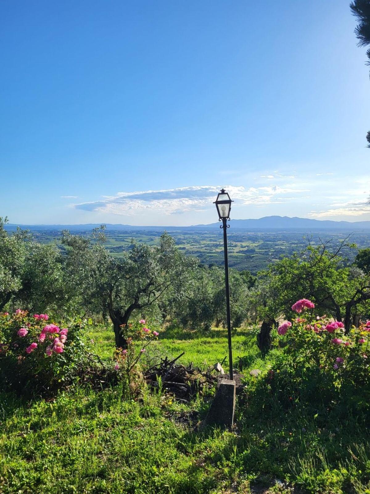 Agriturismo La Gioconda Винчи Экстерьер фото